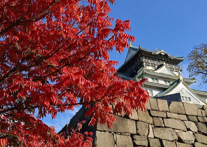 Castillo de Osaka Autumn Leaves Spectacle, Osaka Castle
