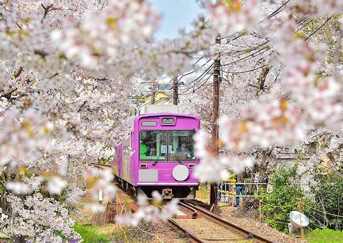 Ferrocarril Panorámico Sagano, Kyoto Sagano Scenic Railway, Kyoto