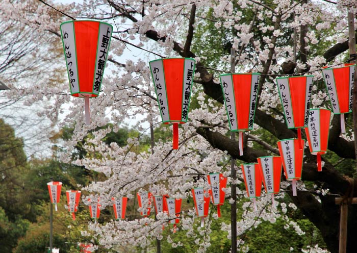 Parque Ueno de Tokio en primavera Tokyo Ueno Park in spring