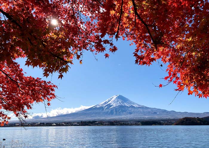 El otoño en el Monte Fuji en Kawaguchiko Autumn Mount fuji in Kawaguchigo