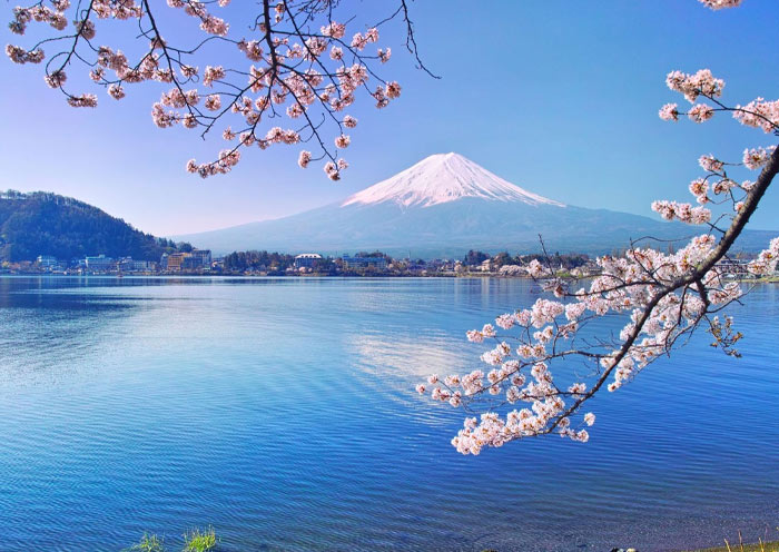 Monte Fuji y Flores de Cerezo Mount Fuji and Cherry Blossom