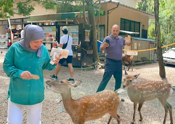 Visita al Parque de Nara Nara Park