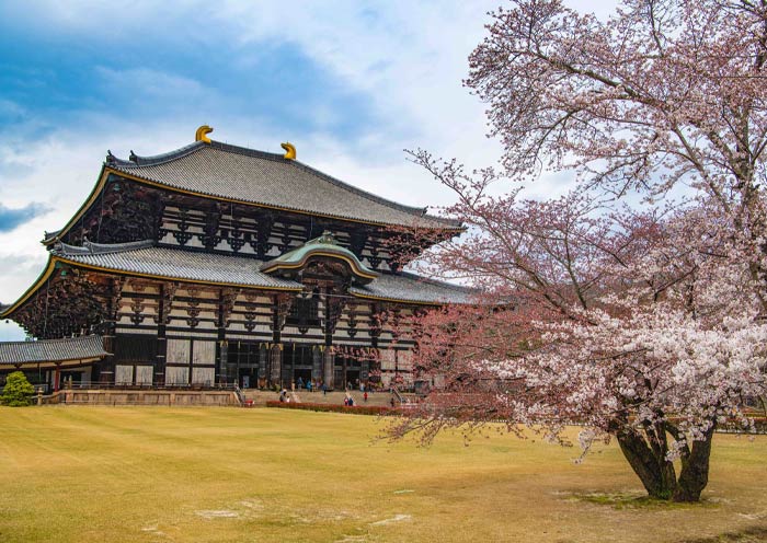 Templo Tōdai-ji de Nara en primavera Nara Tōdai-ji Temple in Spring