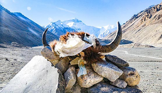Tours al Monte Everest en el Tíbet
